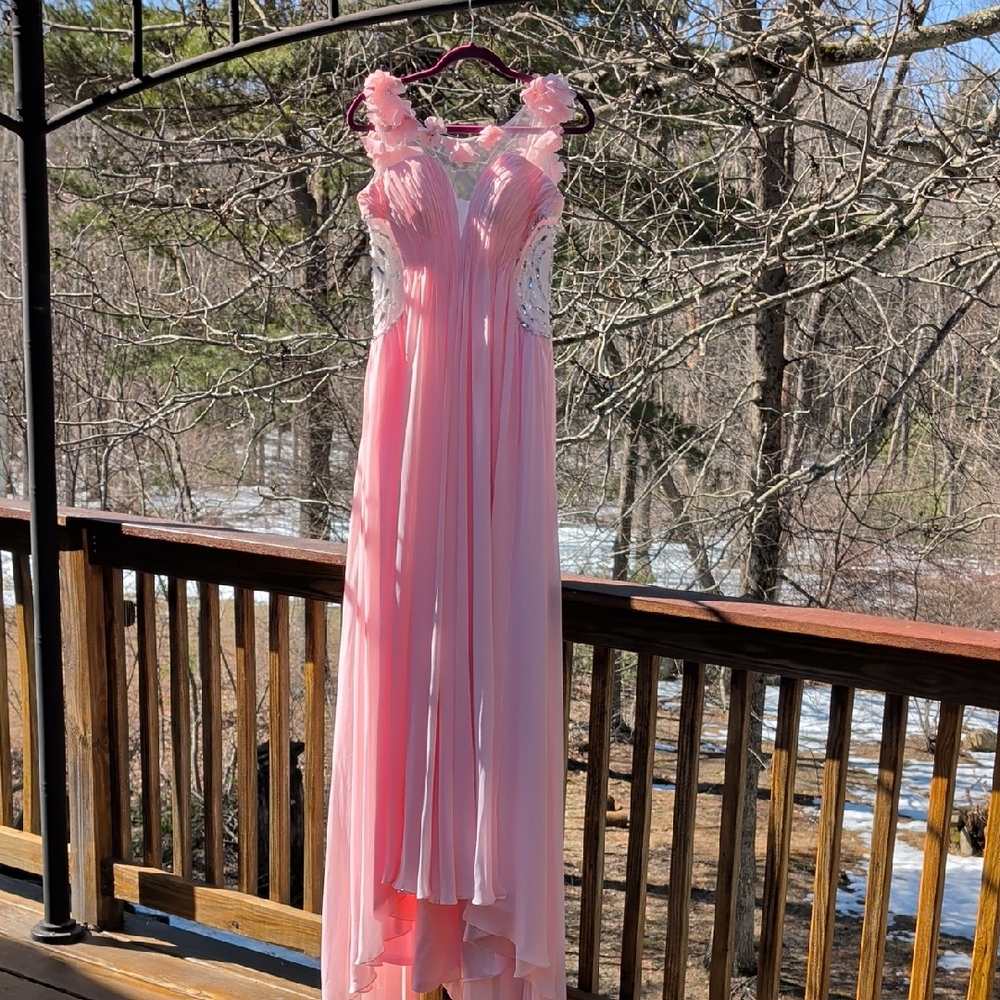 Elegant Pink Prom Dress Evening Gown
